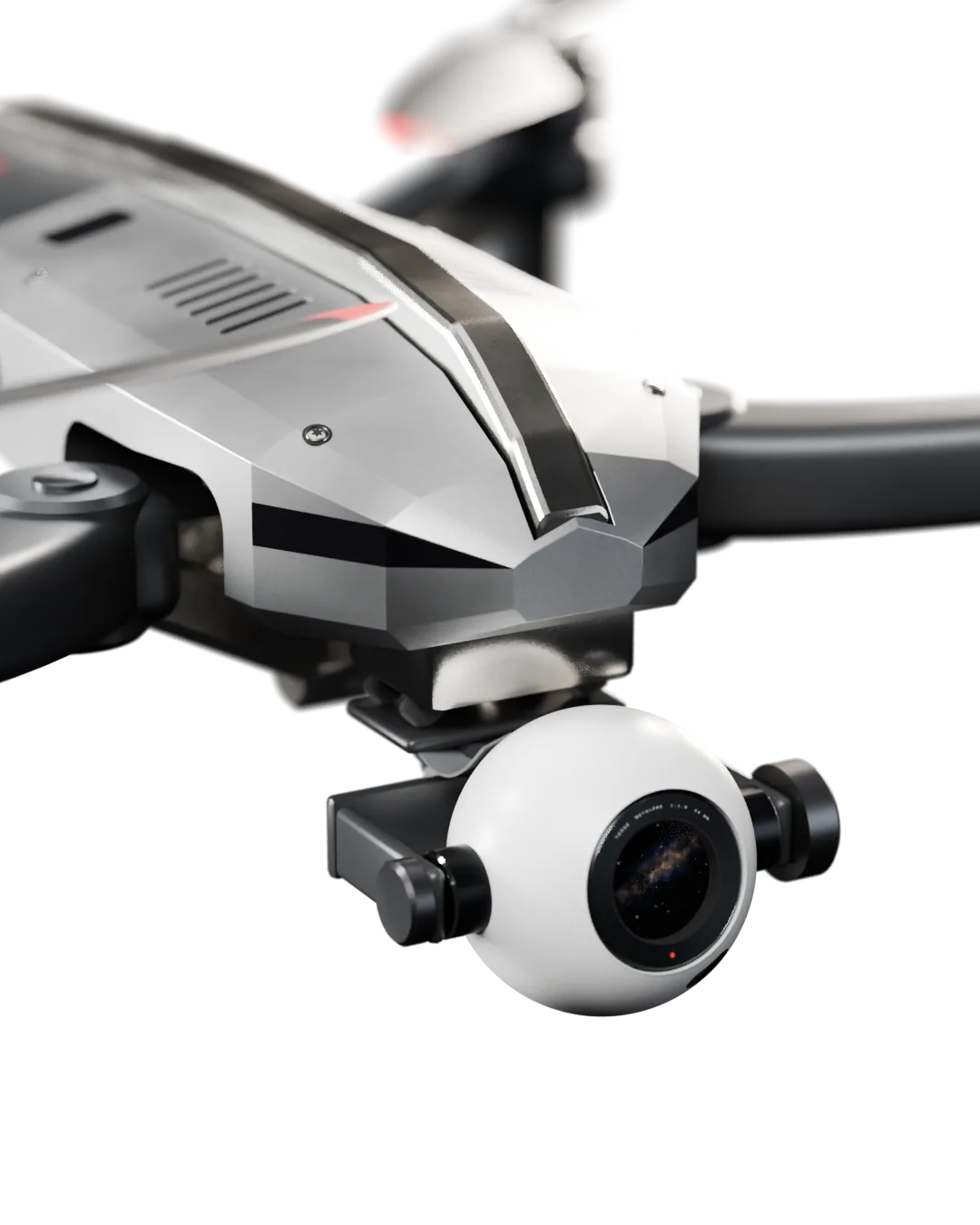 Terne X, Nose, spine and sensor slit